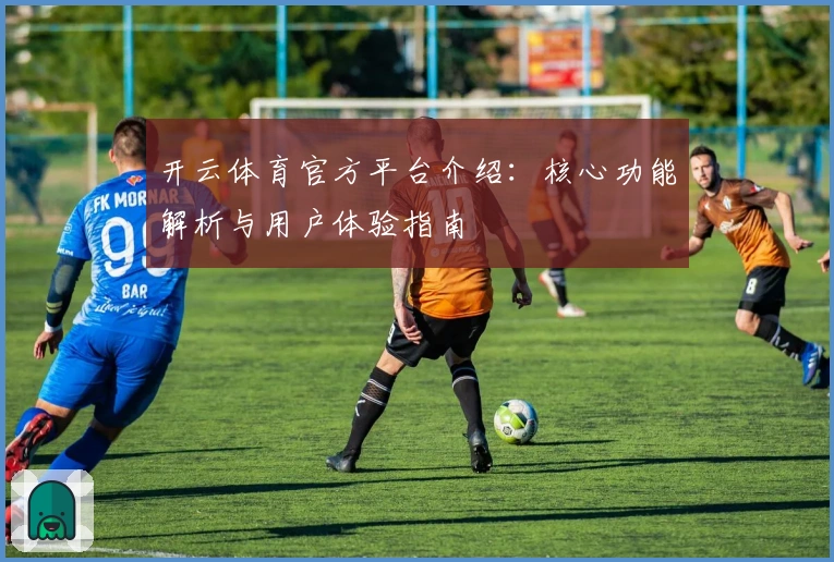 开云体育官方平台介绍：核心功能解析与用户体验指南